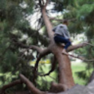 Meet your Posher, Leila